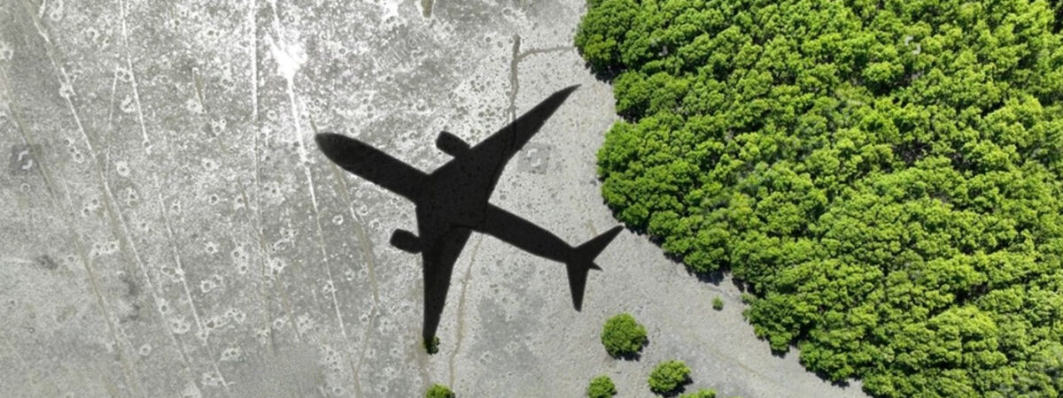 Aviation Green Goals